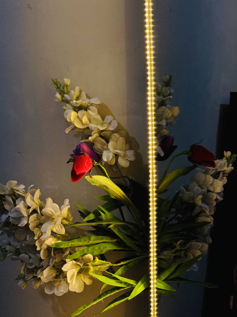 Mirror  with led light 6