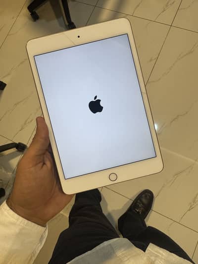 Ipad Mini5