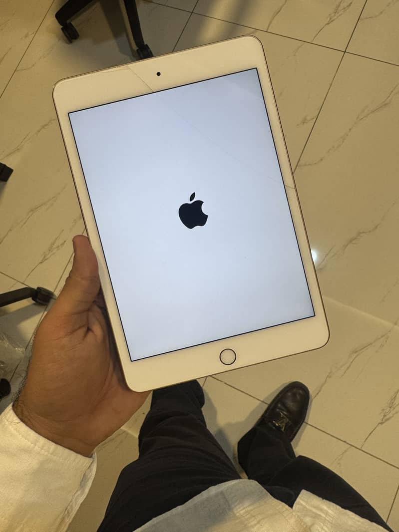 Ipad Mini5 0