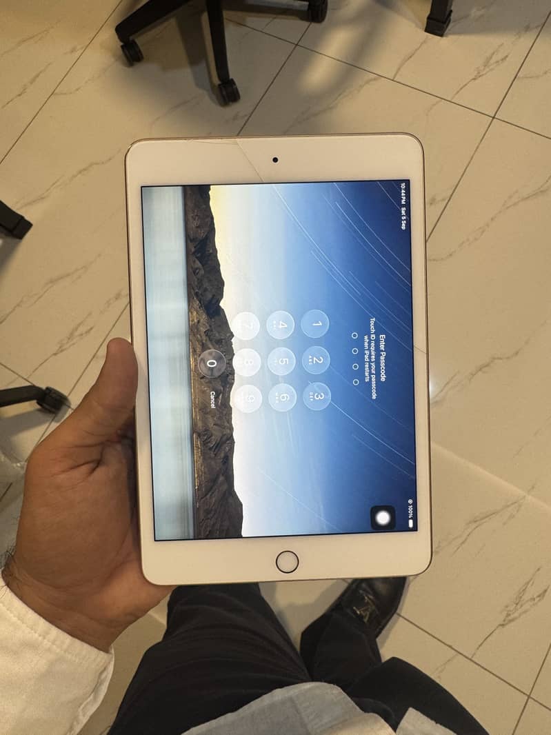 Ipad Mini5 1