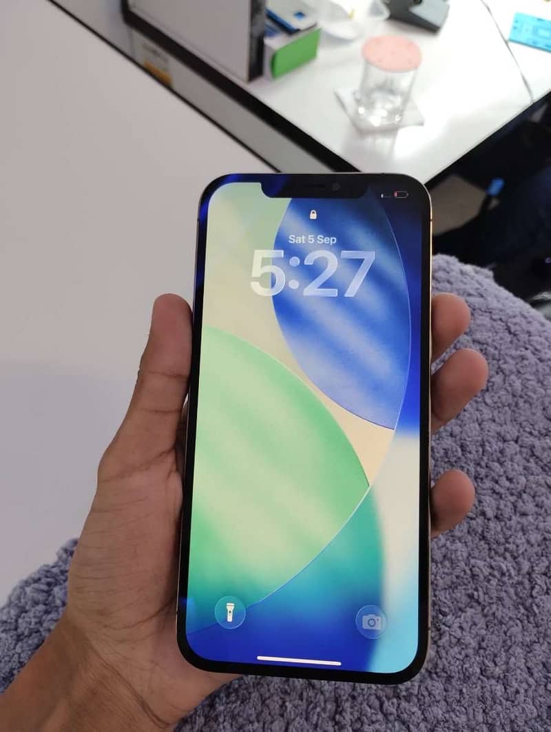 Apple iPhone 12 Pro Max 1
