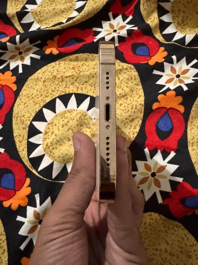 Apple iPhone 12 Pro Max 1