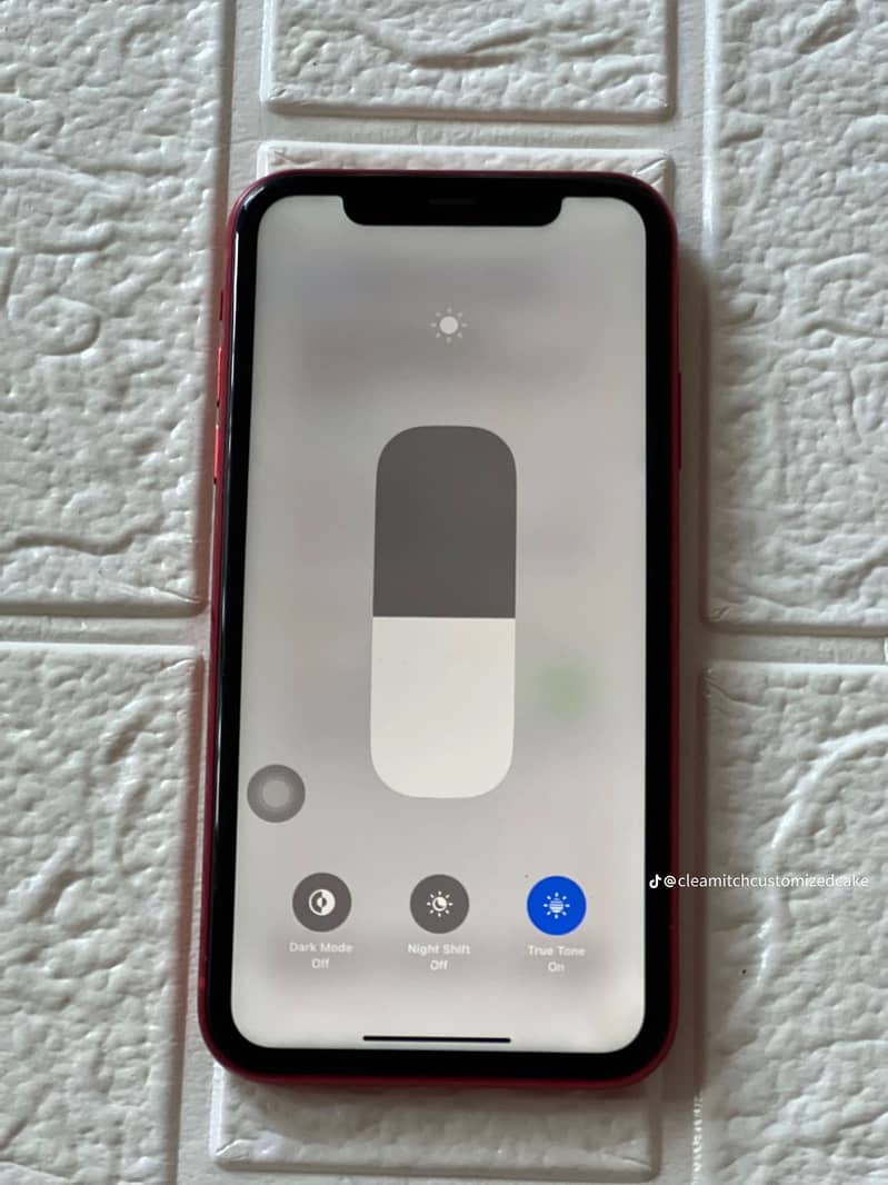 Apple iPhone 11 1