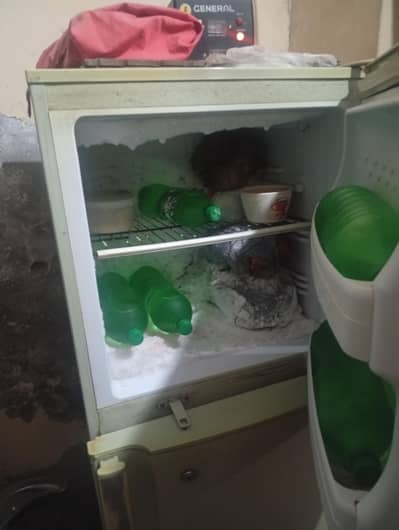 PEL Refrigerator