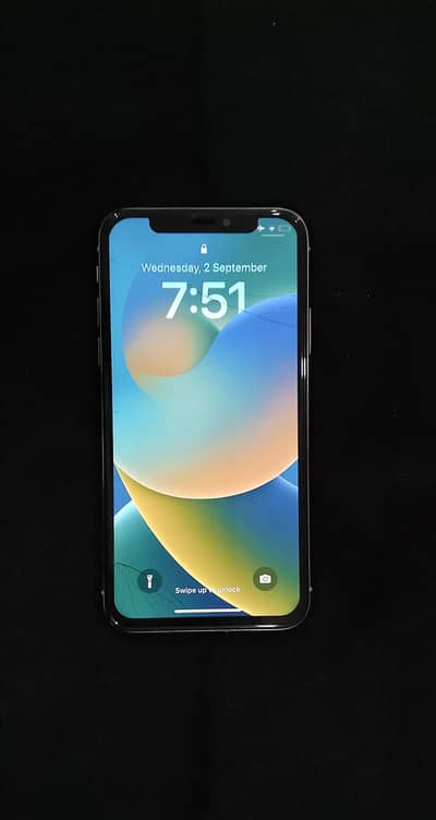 Apple iPhone X