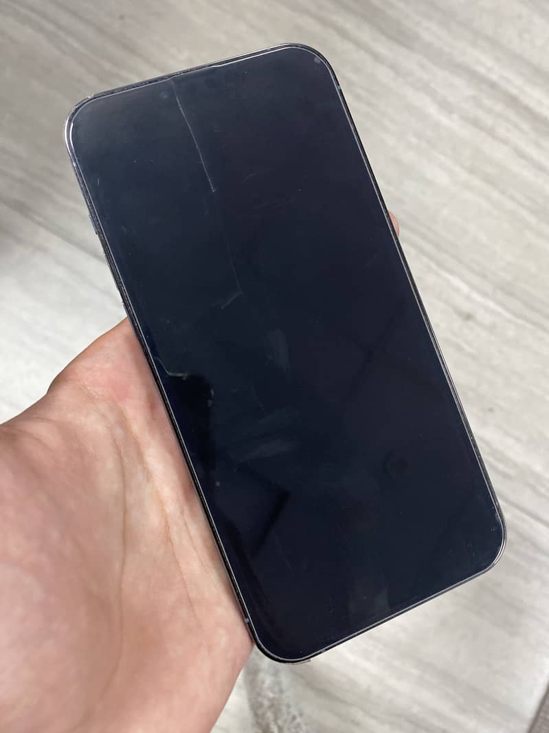 Apple iPhone 13 Pro Max 1
