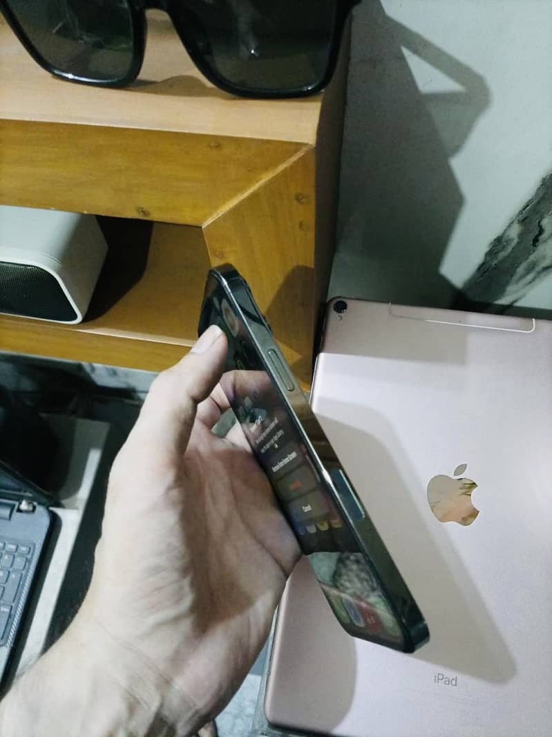 Apple iPhone 13 Pro Max 1