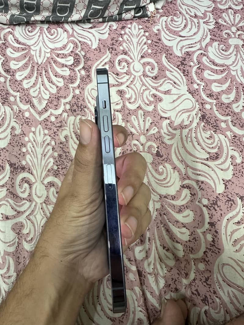 Apple iPhone 13 Pro Max 3