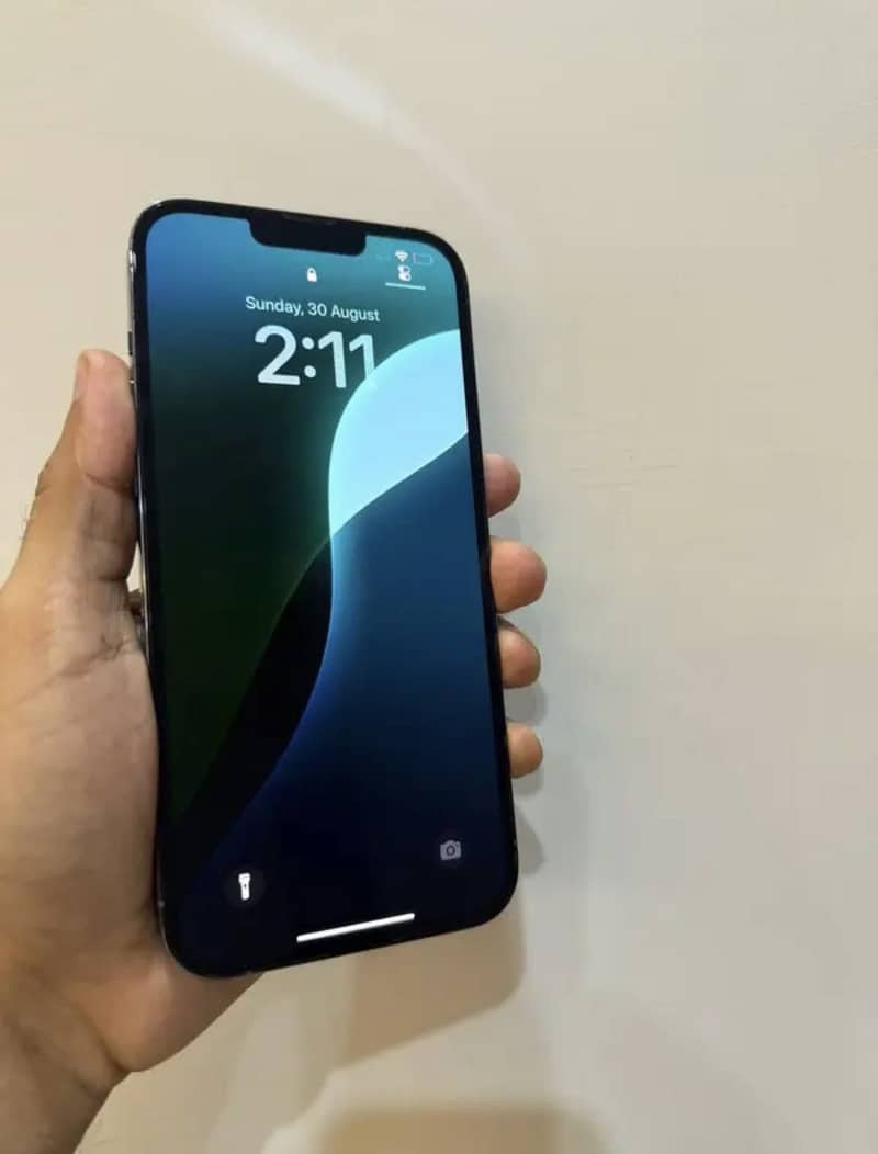 Apple iPhone 13 Pro Max 1