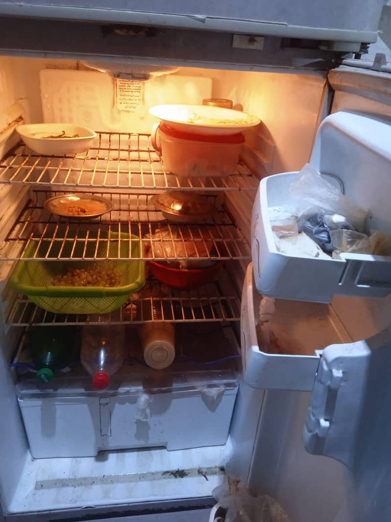 Fridge 1