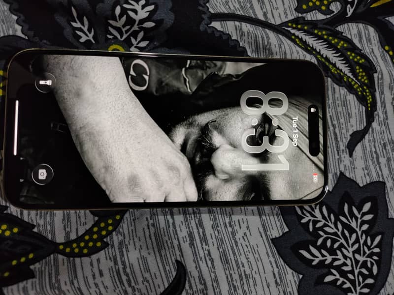 Apple iPhone 14 Pro Max 2