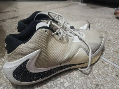 Nike Zoom freak 1