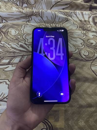 Iphone 13 PTA waterpack