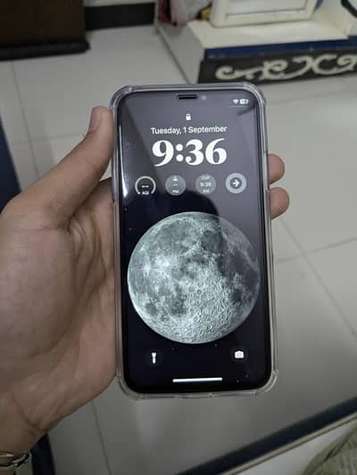 Apple iPhone X