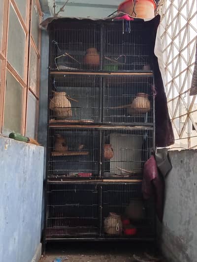 Birds cages for sale