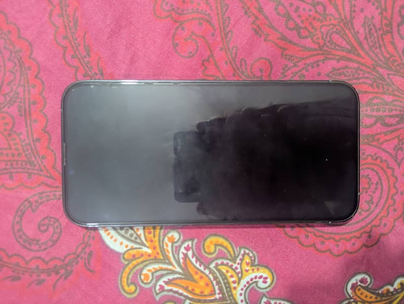 Apple iPhone 13 Pro Max 1