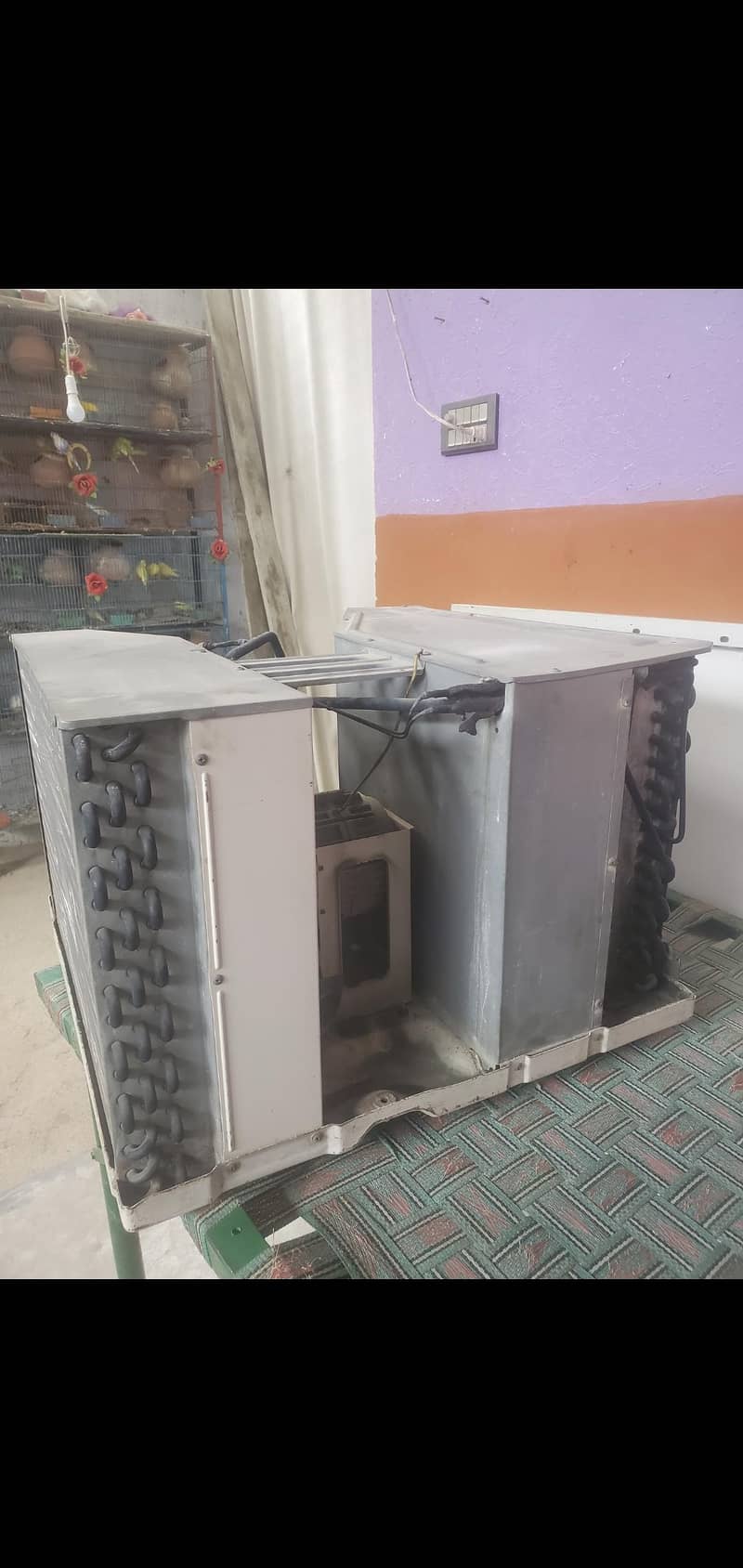 اچھی خالت میں ہے 5