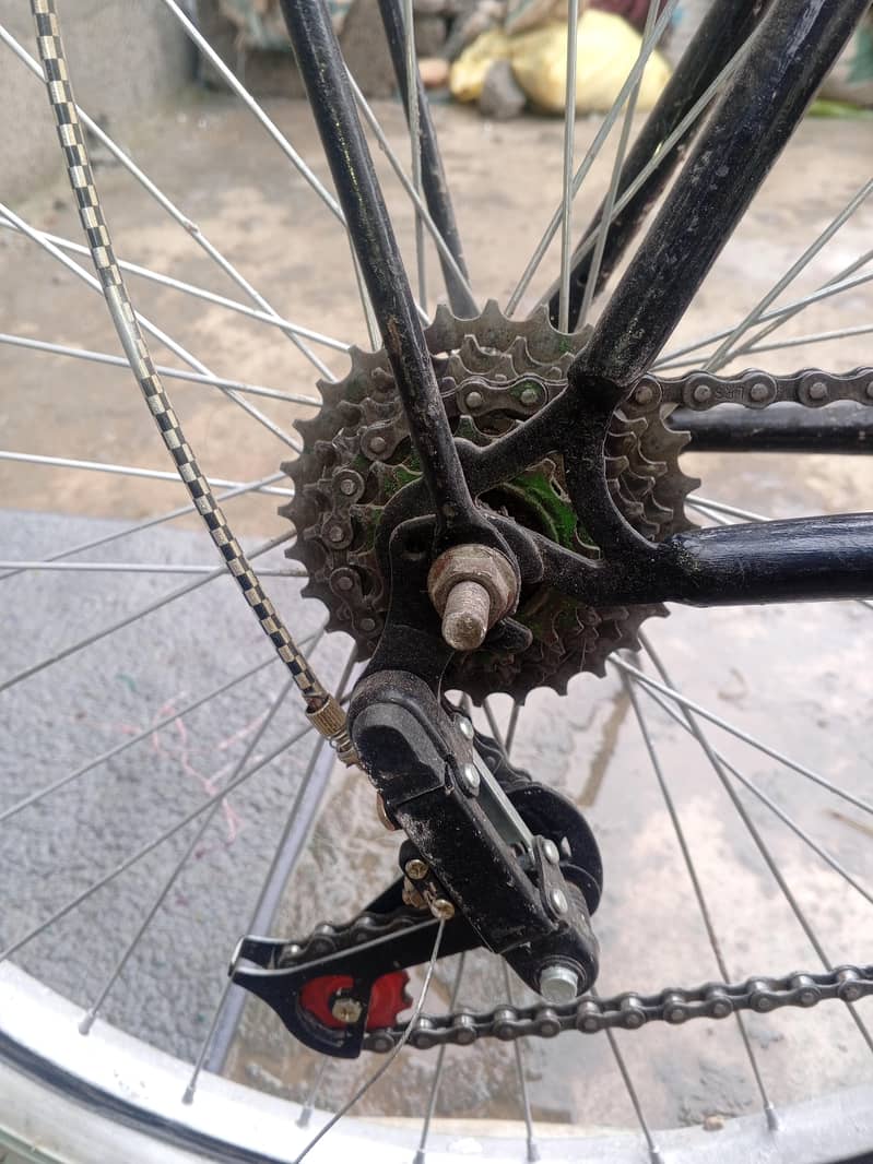 PHONIX CYCLE 7