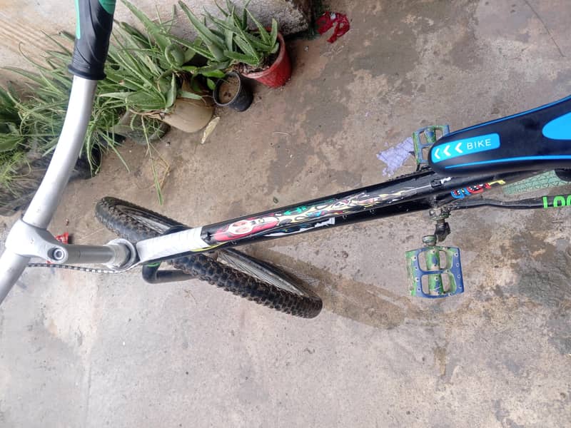 PHONIX CYCLE 10