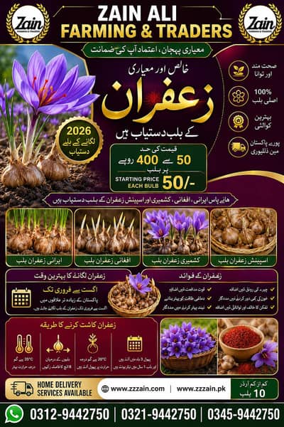 Saffron Bulbs and Dragon fruit plants /Seeds 03129442750 Zain Ali Far