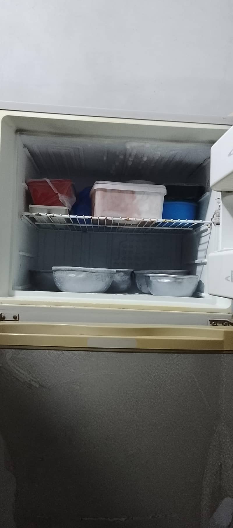 fridge 1