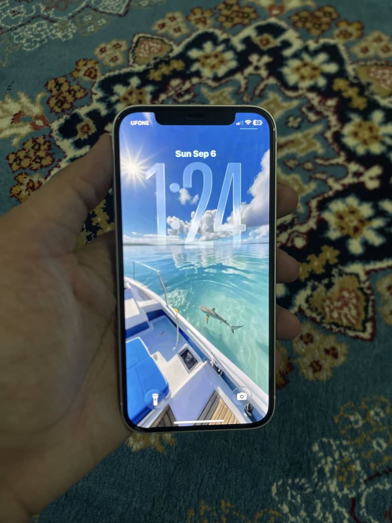 Apple iPhone 12 1
