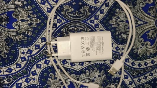 Vivo flash charger