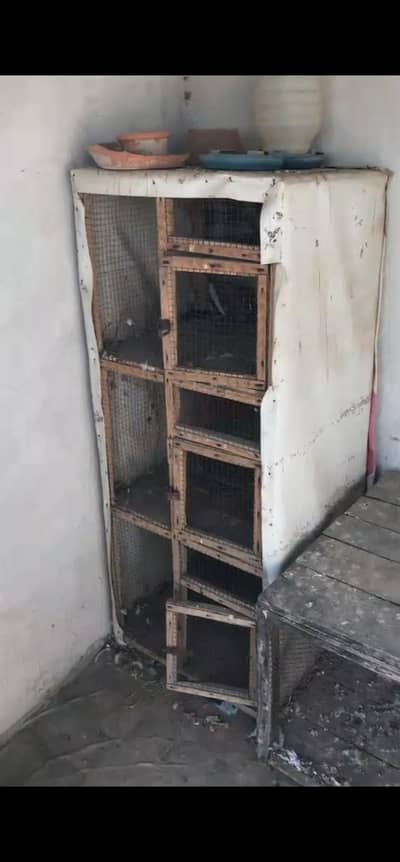 cages for hen