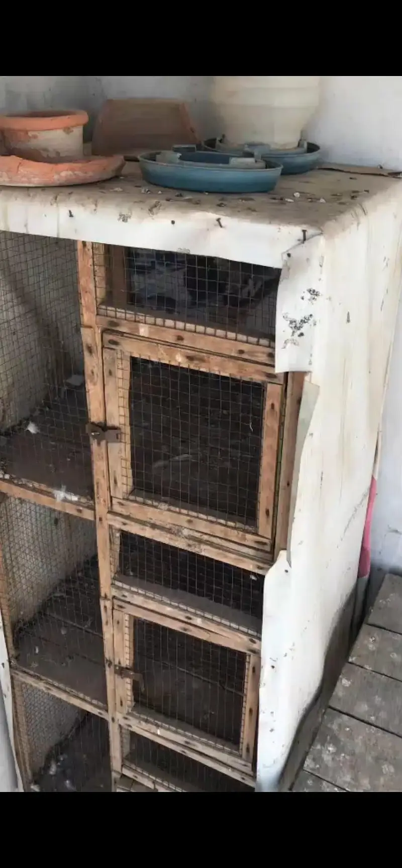 cages for hen — photo 2