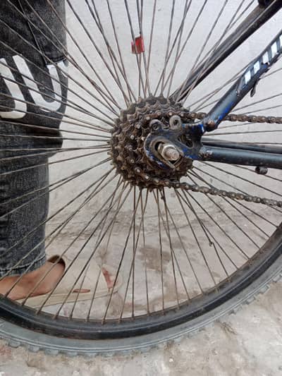 gear cycle