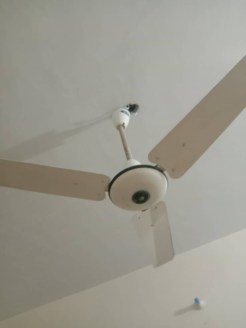 ceiling fan 1