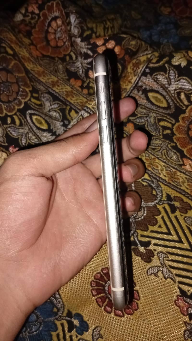 Apple iPhone 11 3