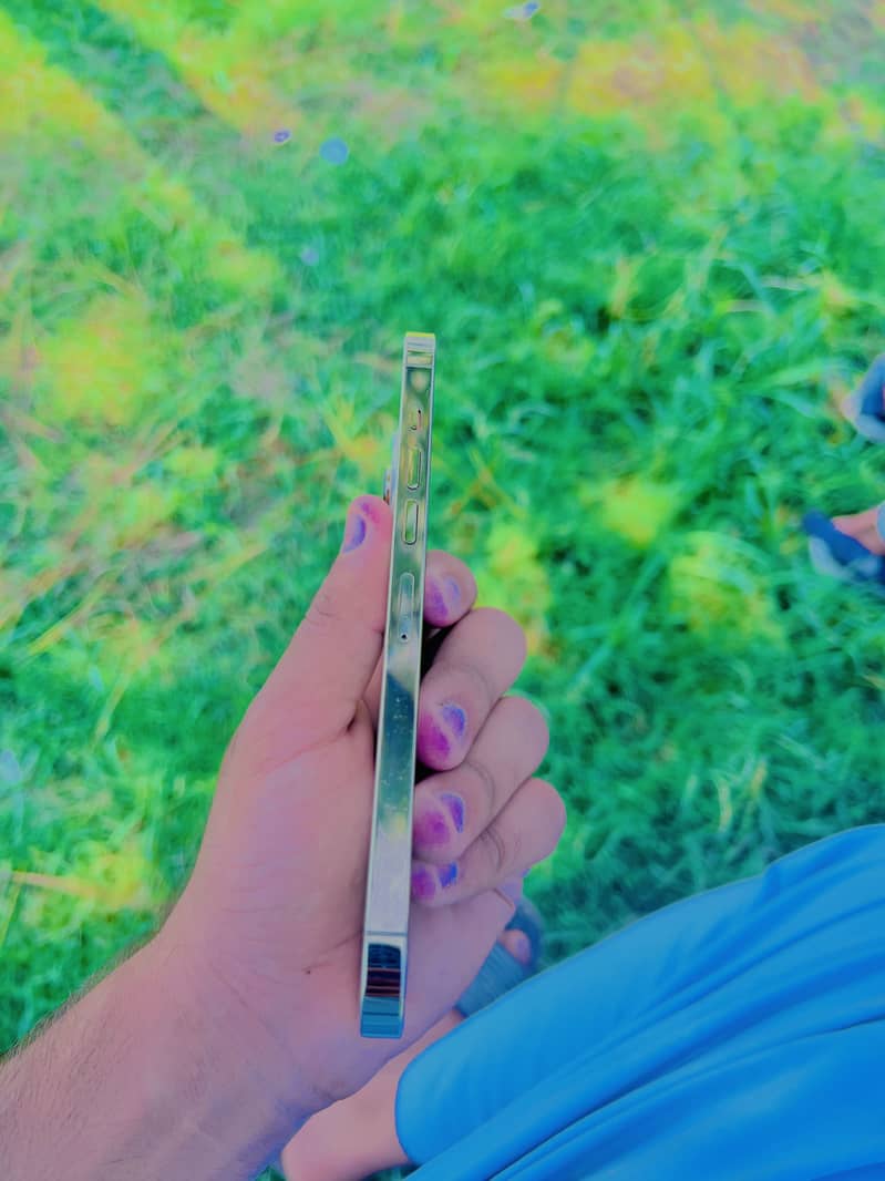 Apple iPhone 13 Pro Max 1