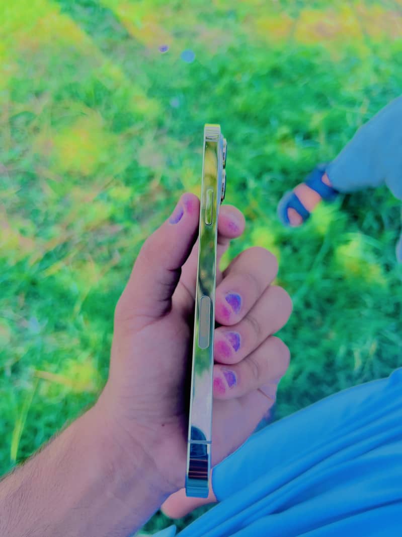 Apple iPhone 13 Pro Max 2
