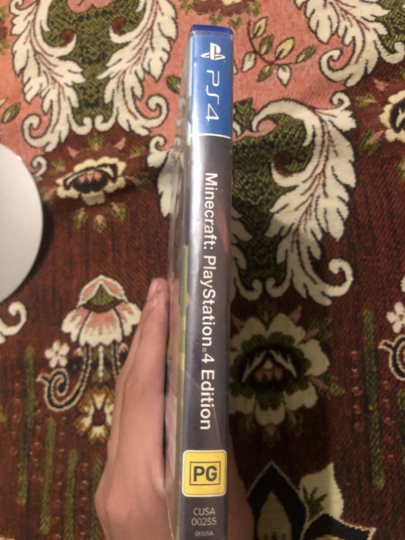 Minecraft PS4 1
