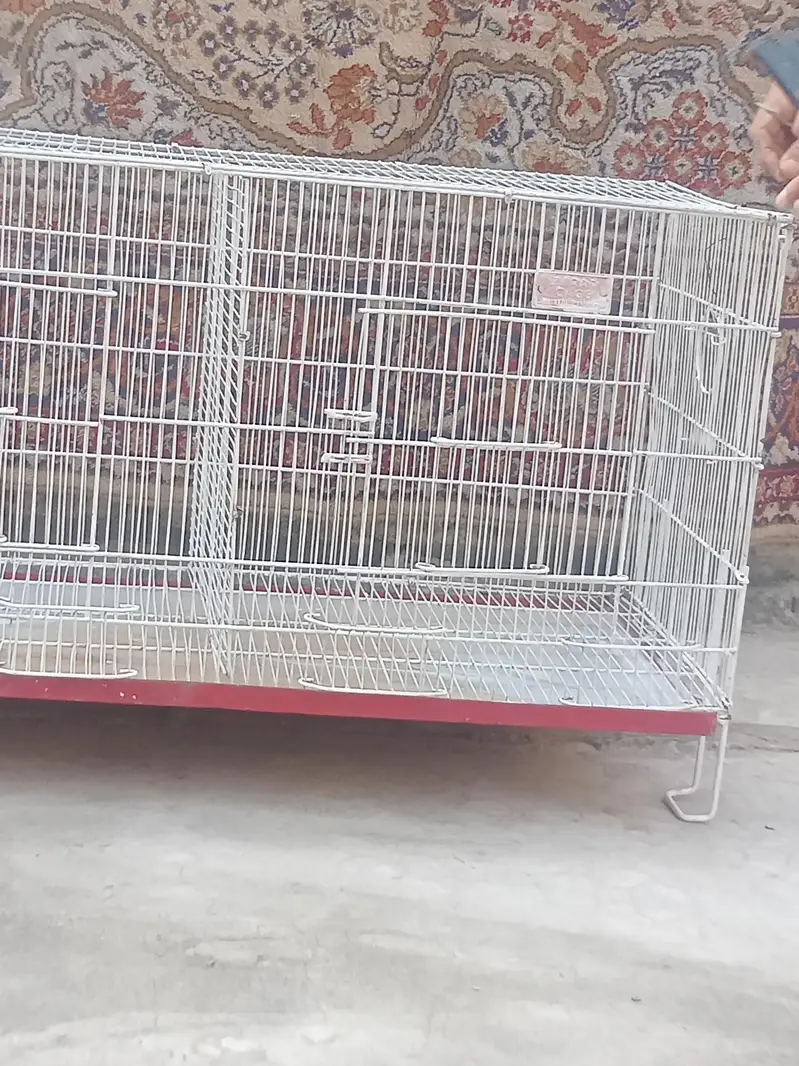 pinjra  takreeban 3 ft sy Thora SA bara — photo 2