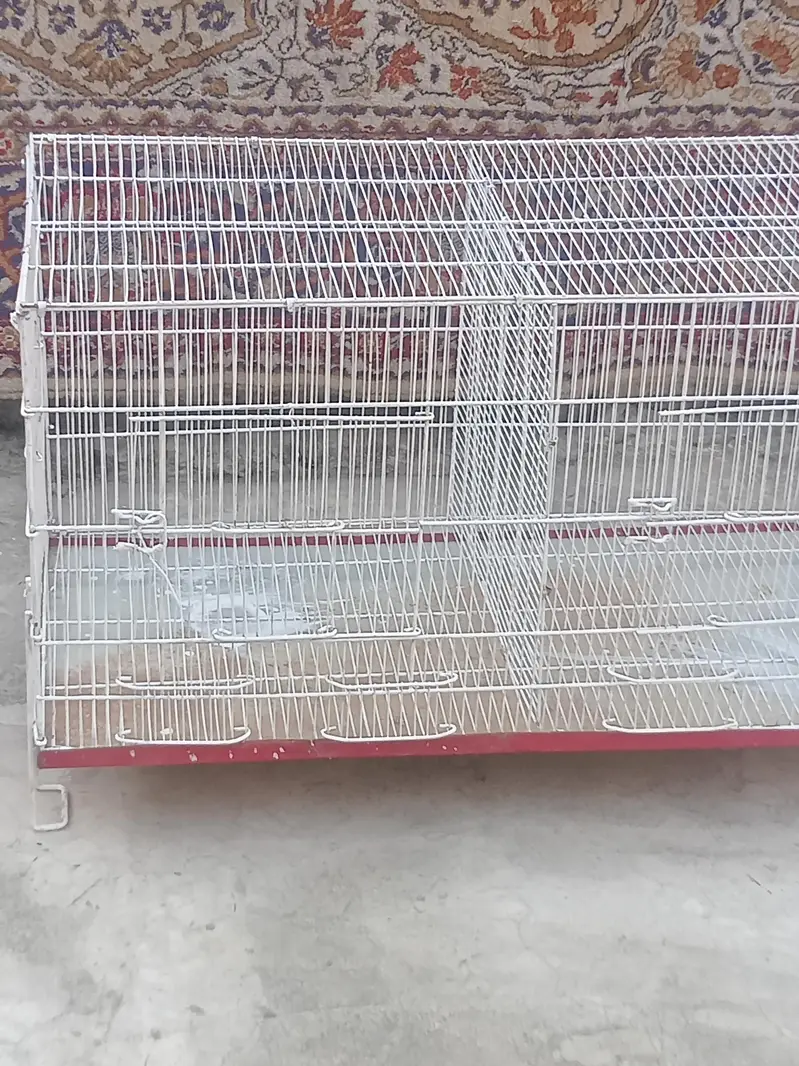 pinjra  takreeban 3 ft sy Thora SA bara — photo 3