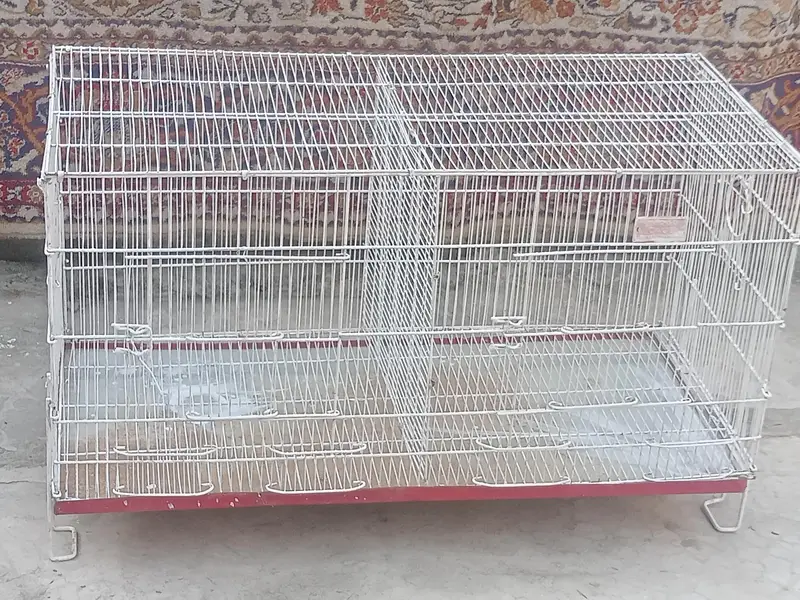 pinjra  takreeban 3 ft sy Thora SA bara — photo 4