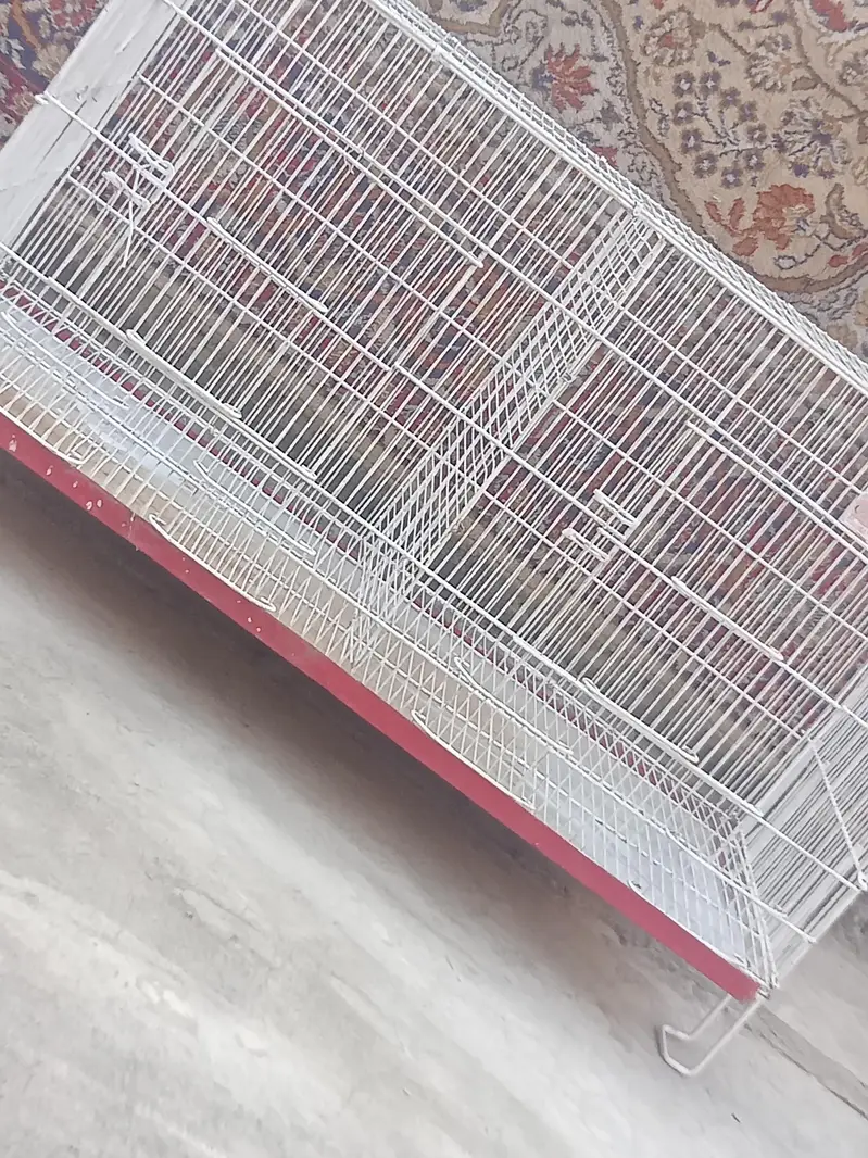 pinjra  takreeban 3 ft sy Thora SA bara — photo 5