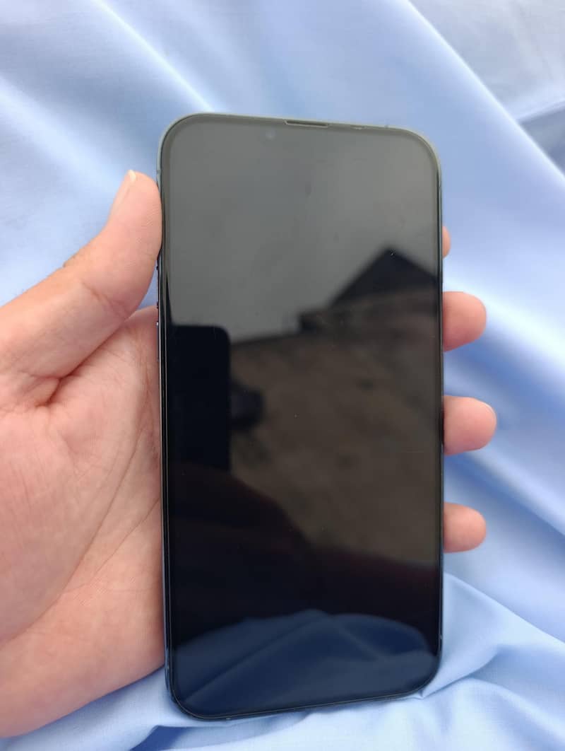 Apple iPhone 13 Pro Max 1