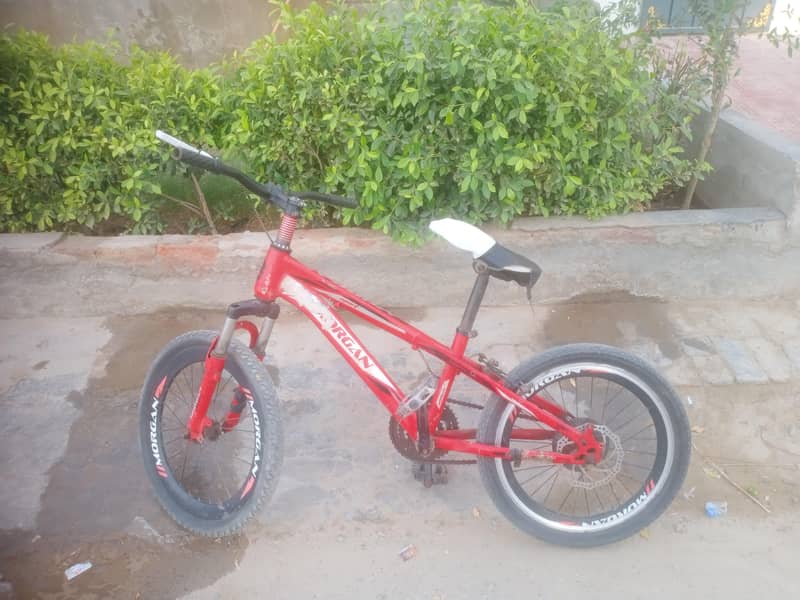 Morgan cycle 0