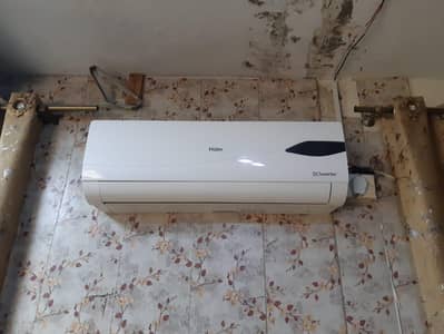 Haier