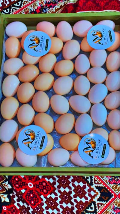 Al Multan organic desi eggs