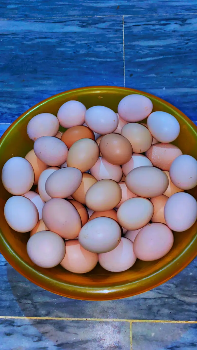 Al Multan organic desi eggs — photo 5