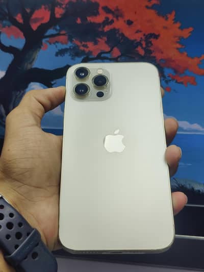 Apple iPhone 12 Pro Max