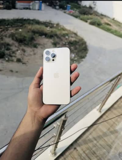 Apple iPhone 13 Pro Max