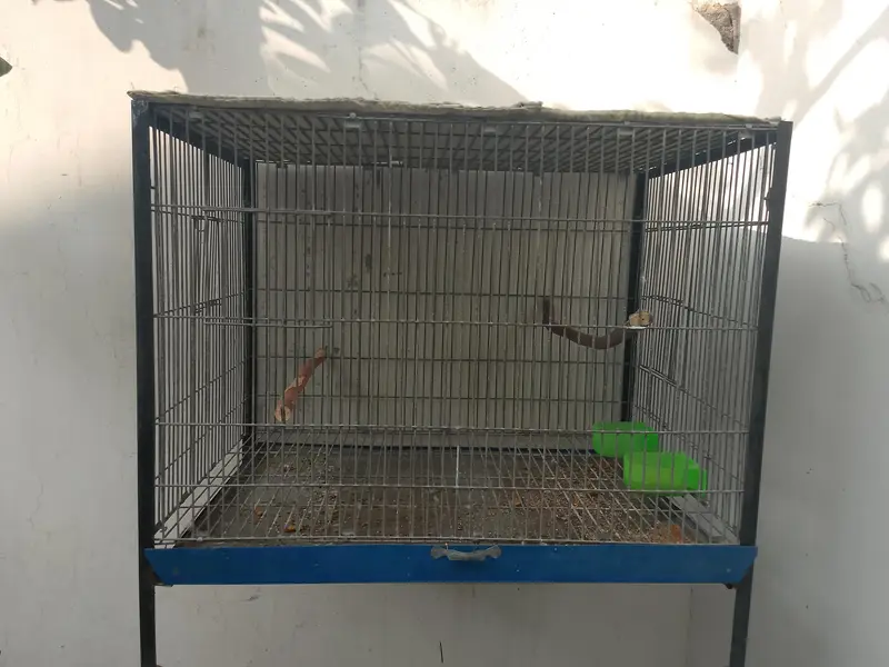 Galvanized Cage for sale — photo 2