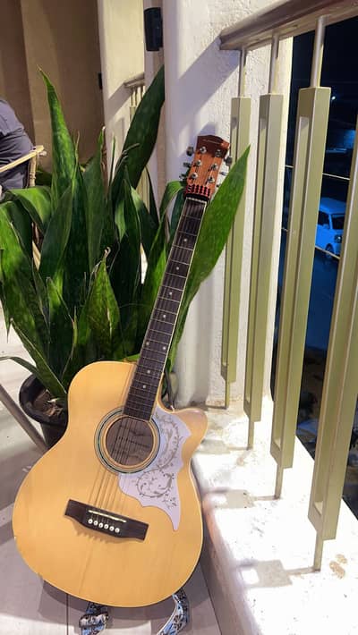 Professional diamond guitar