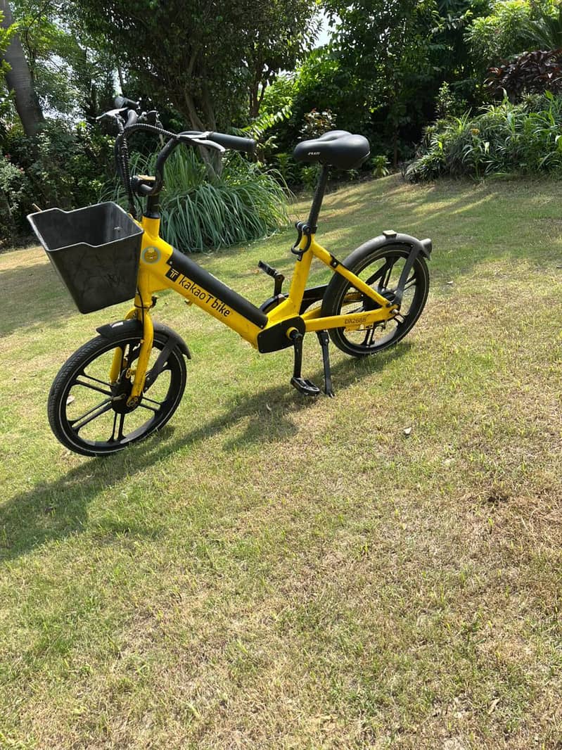 Electric cycle 1
