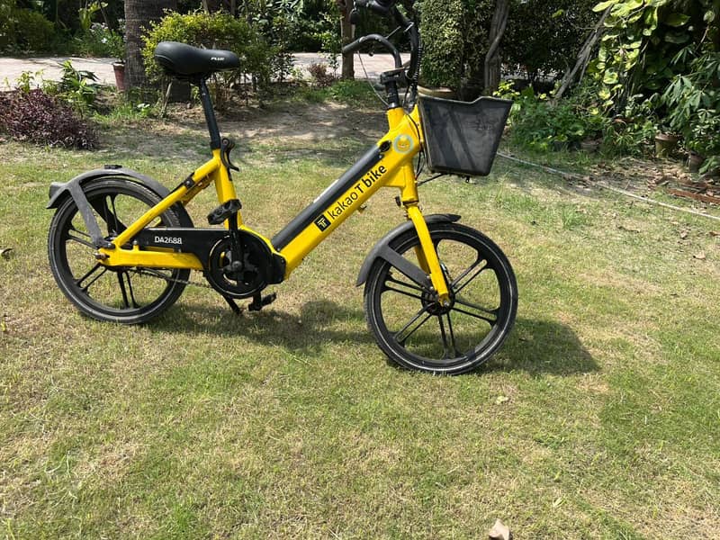 Electric cycle 3